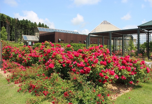 ����݂�������o����