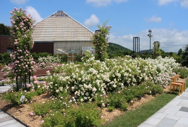 ����݂�������o����