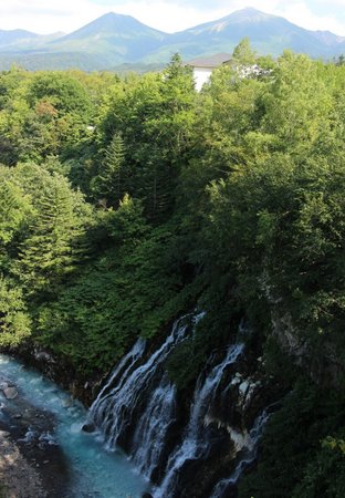 ���Ђ��̑�