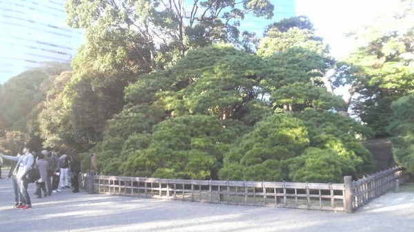 �O�S�N�̏��i�l���{�����뉀�j