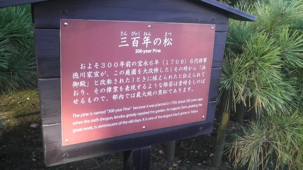 �O�S�N�̏��i�l���{�����뉀�j