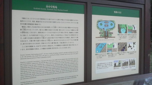 ����i�l���{�����뉀�j