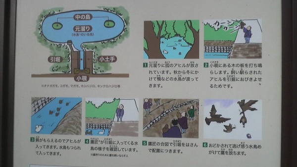 ����i�l���{�����뉀�j