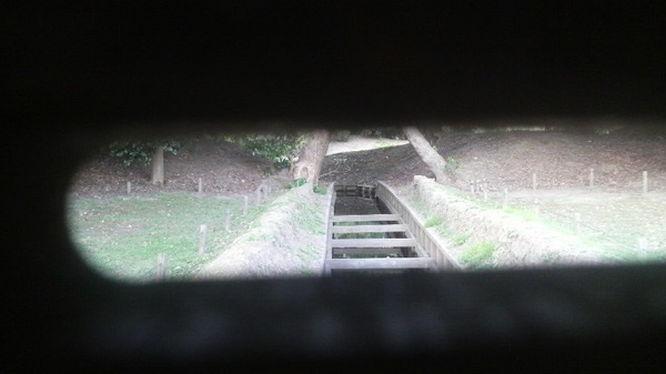 ����i�l���{�����뉀�j