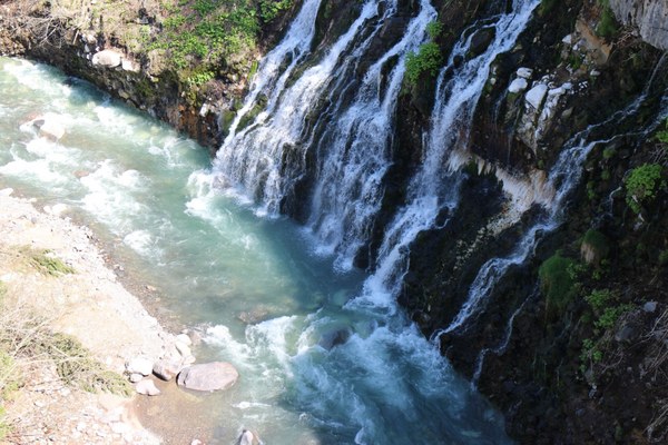 ���Ђ��̑�