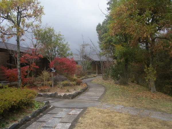 ���R����@�l�G�ʂ̓�