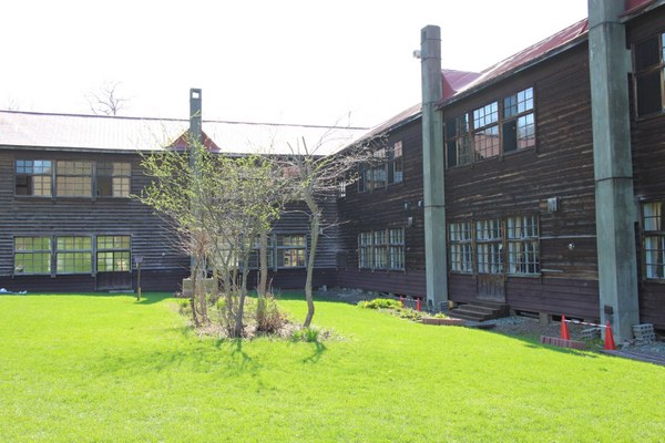 ���c���������p�� �A���e�s�A�b�c�@���S