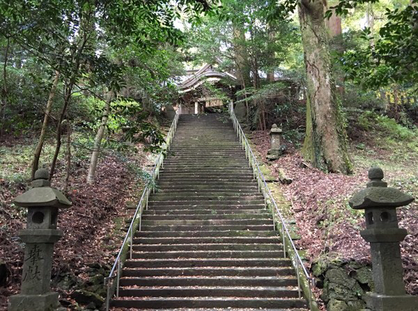 �����ӂ�_��