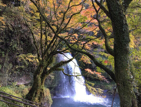 �����̑�