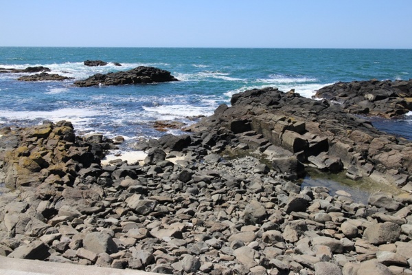 �������C�l����