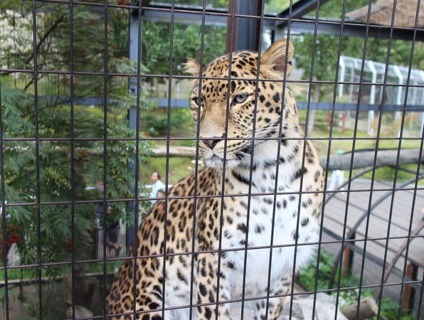 ���R������