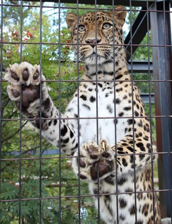 ���R������