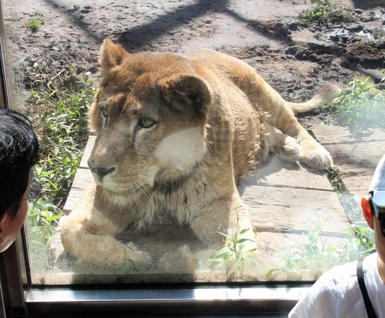 ���R������