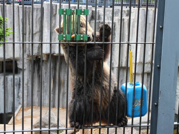 ���R������