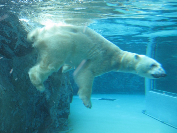 ���R������