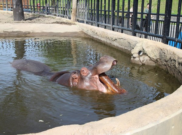 ���R������