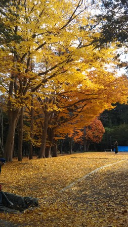 �~�R����