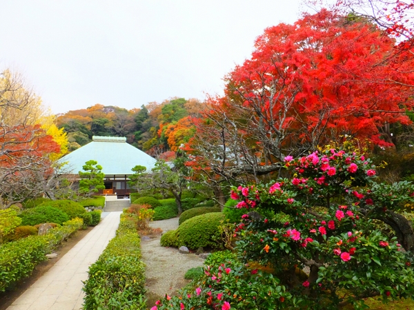 浄妙寺