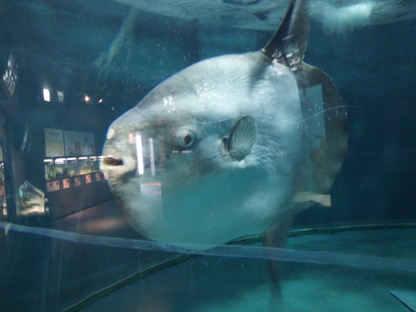 ���֎s�������̂��������فE�C����