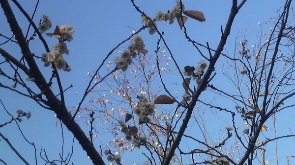 �Ō����y�ё��㎛�����̍�