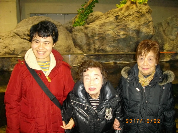 �z�e���j���[�c���^