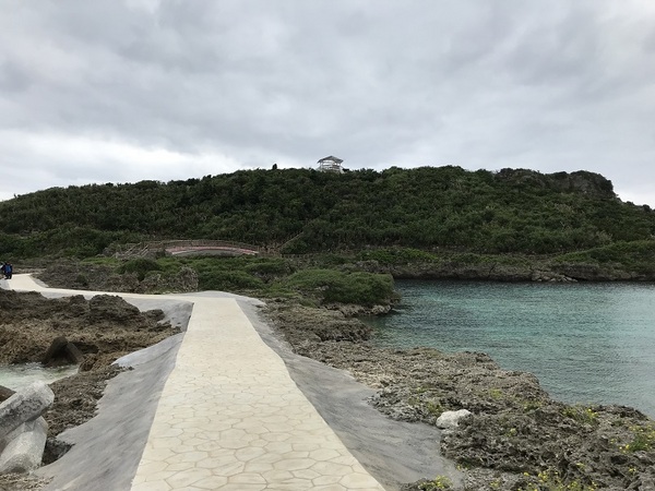 �C���M���[�}�����K�[�f��