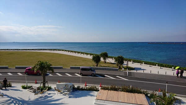 �������E�~�J�W�e���X