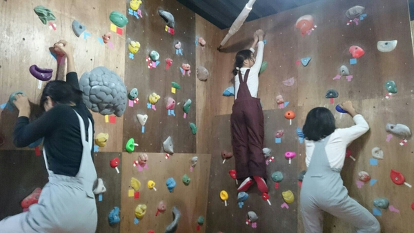 ͂ꂪANeBreB[YiF֒Rmj