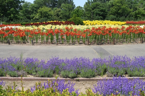 �S����������