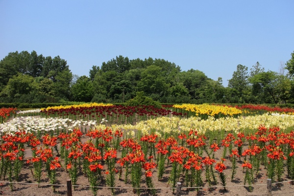 �S����������