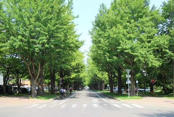 �k��C�`���E����