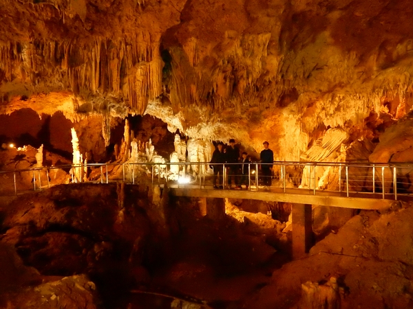 �Ί_���ߓ���