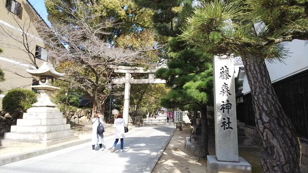 ���X�_��