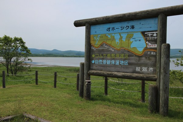 �R���P��