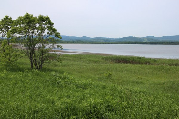 �R���P��