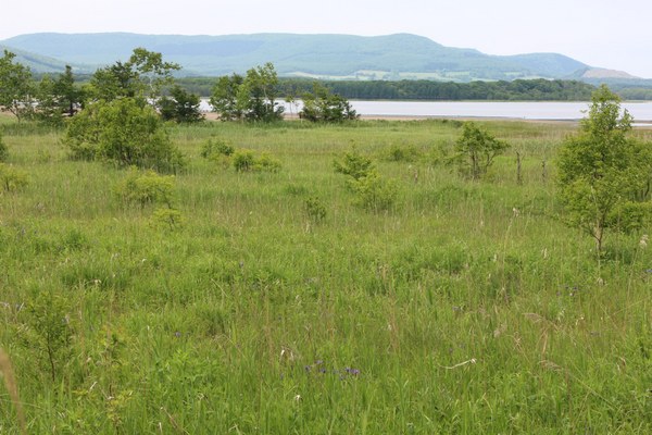 �R���P��