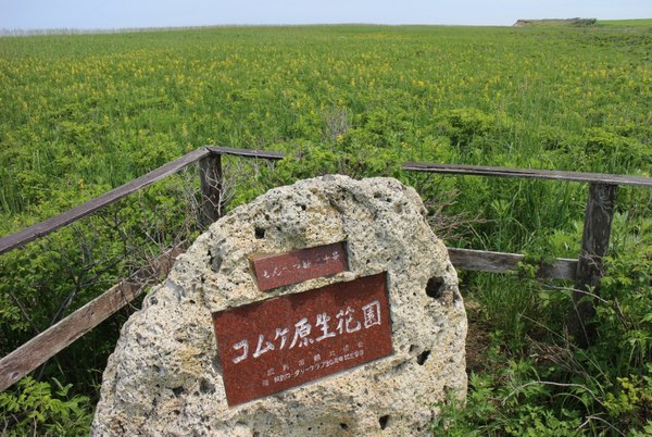 �R���P�����ԉ�