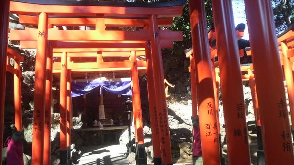 �V���i���