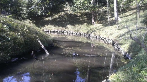 �_�c�㐅�Ձi���ΐ��y���j