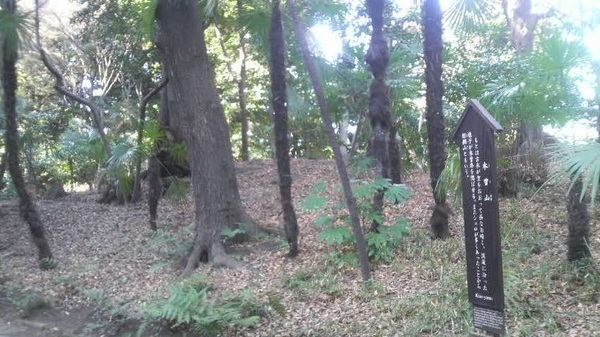 �ؑ]�R�i���ΐ��y���j