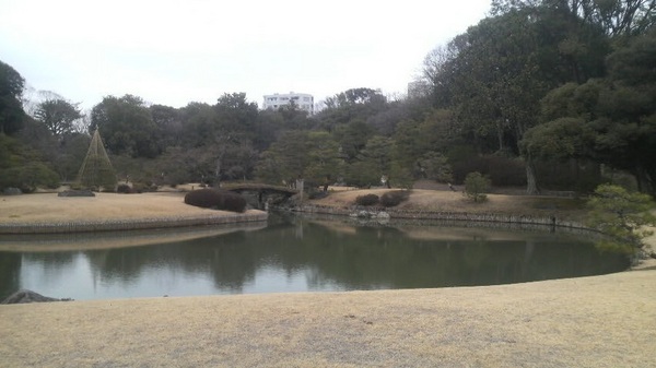 �Z�`���@�o���̖�