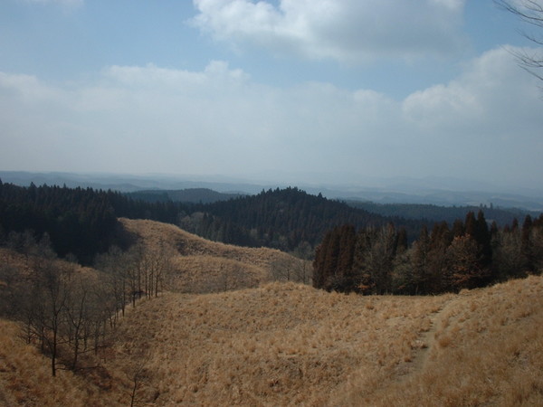 �������򂳂���