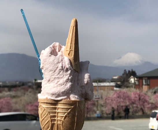 ���c���q��A�C�X�H�[