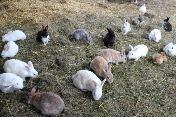 �ԑ������q��ό��Z���^�[