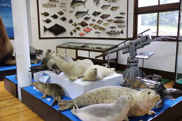 �ԑ��s�����y������