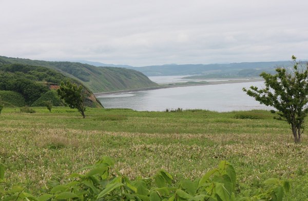 �\�斦�C��