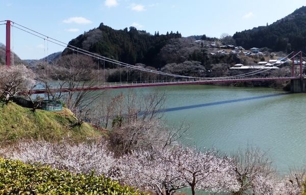 奈良市の観光コース 旅行記 じゃらんnet