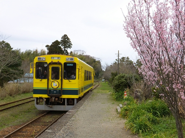 �����ݓS��