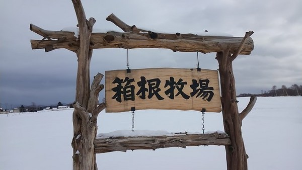 �k�C�������q��