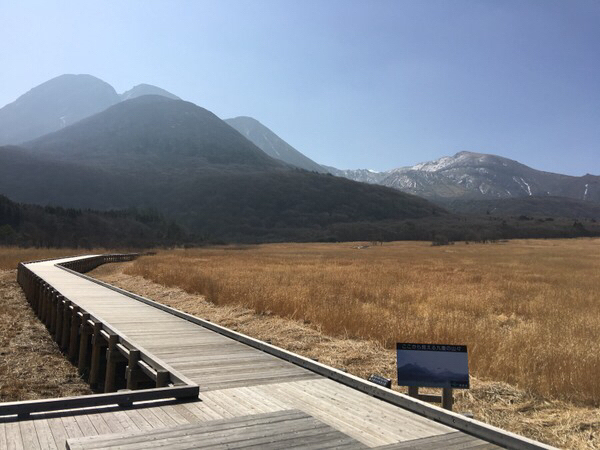 �^�f������